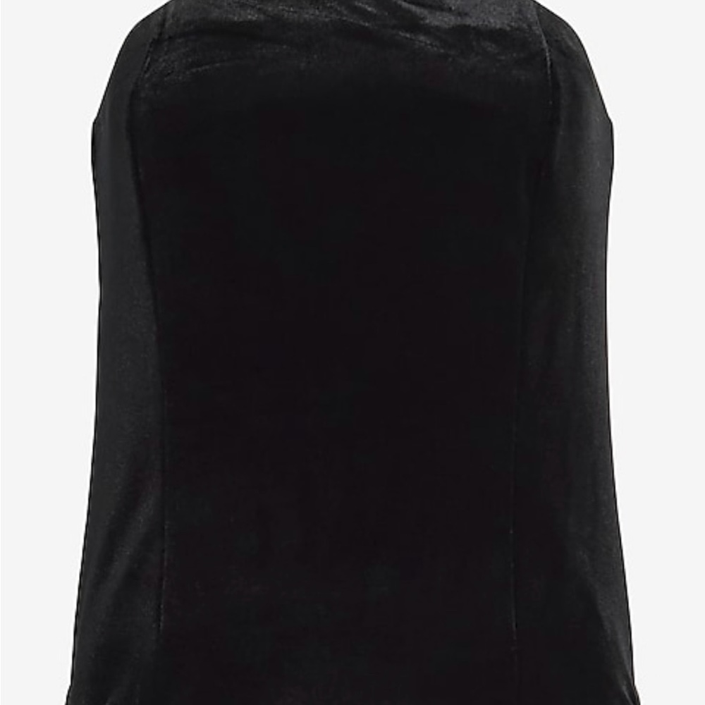 Express Black Velvet Women's Top